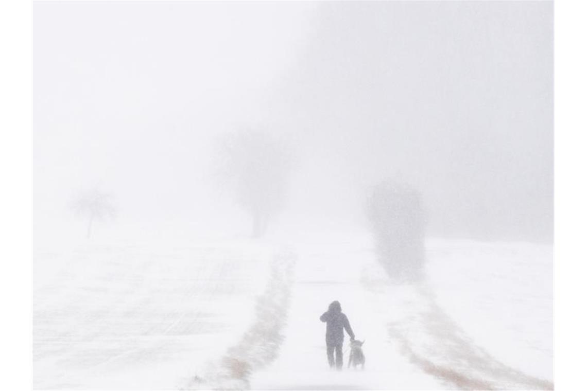 Schneesturm fegt über Deutschland - Meterhohe Verwehungen Spaziergang bei Schneesturm: Dieser Mann führt seinen Hund im niedersächsischen Ingeln-Oesselse aus. Foto: Julian Stratenschulte/dpa
