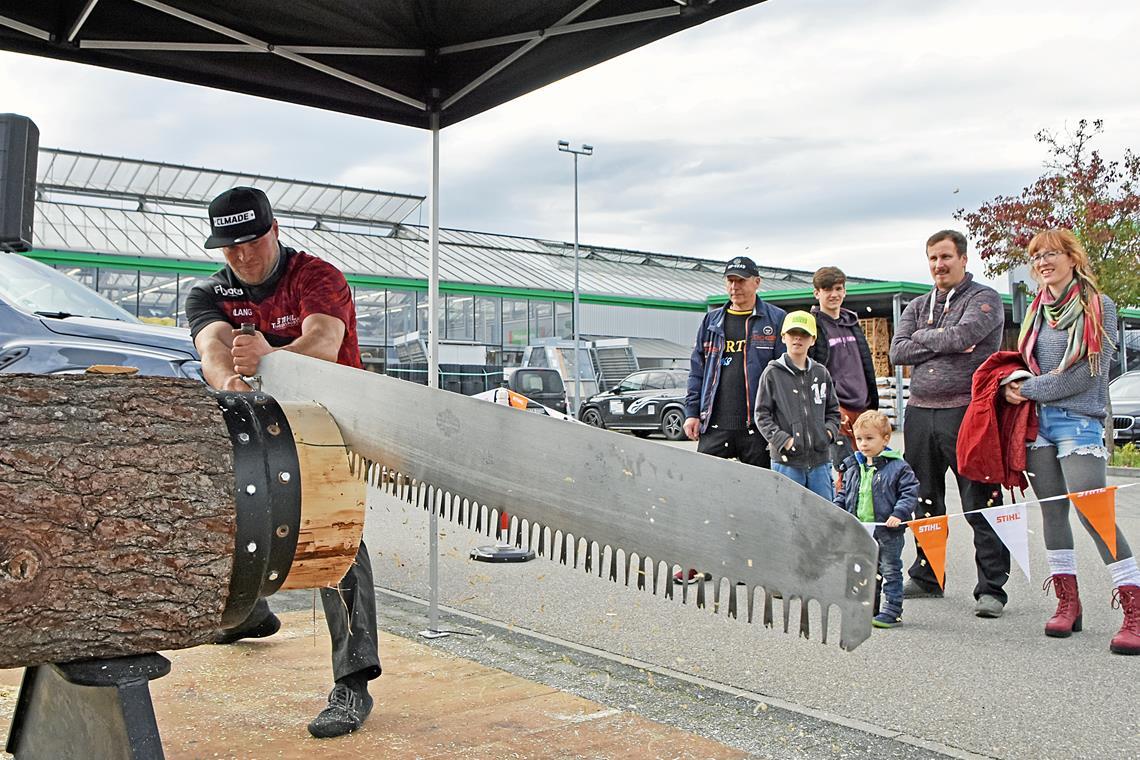 Sportholzfäller Christoph Lang tritt mit seiner 1,90 Meter langen Säge in Aktion.