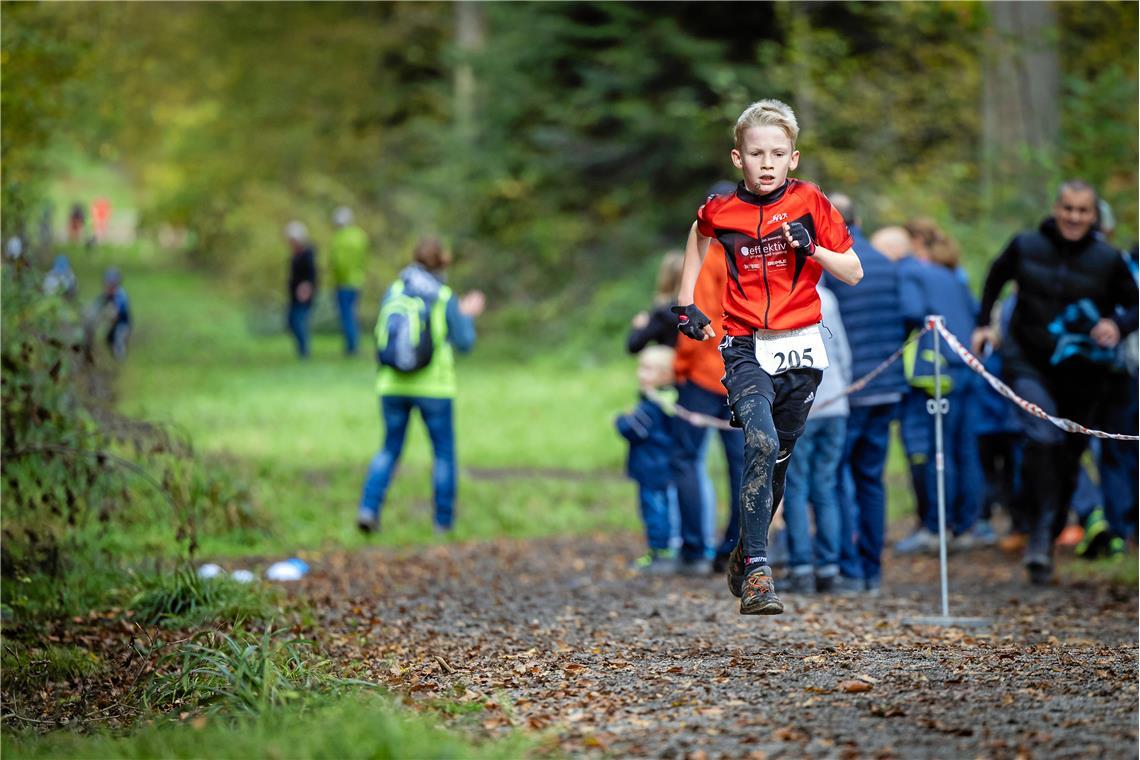 Strammen Schrittes durch den Plattenwald. 