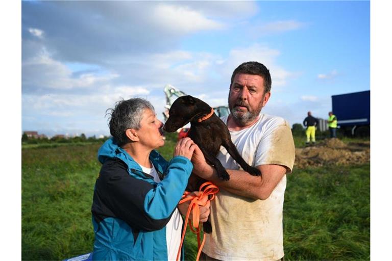 Susanne und Dave Ashmore mit ihrem Terrier Tarka nach seiner Rettung. Foto: R.Priebe/pr-video/dpa