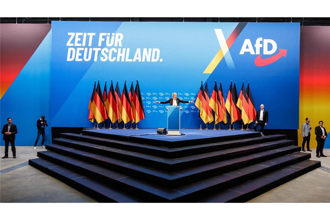 Szene des AfD-Parteitags