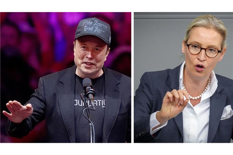 Tech-Milliardär Elon Musk und AfD-Chefin Alice Weidel