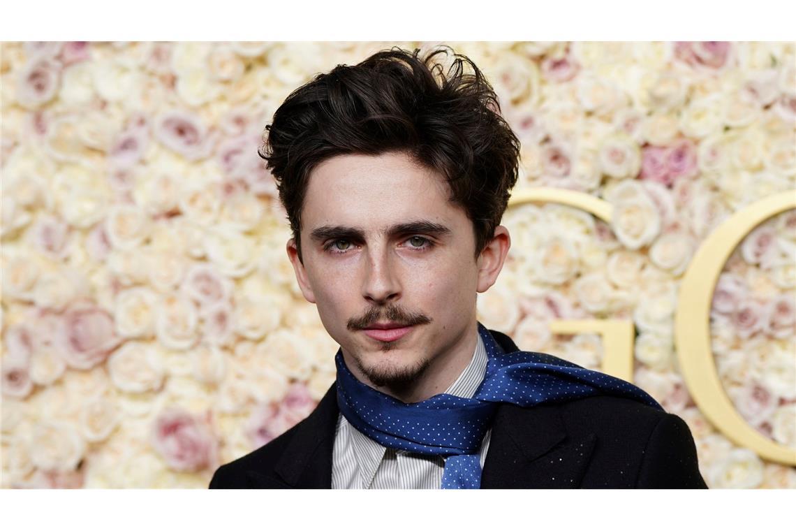 Timothée Chalamet gehört zu den Stars, die in Berlin erwartet werden (Archivbild).