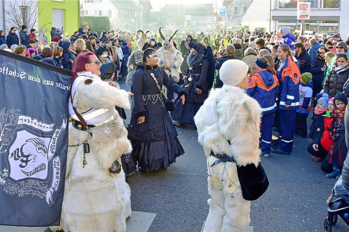 Tolle Kostüme der Schadda Wesa. Faschingsverein Burgstetten: Faschingsumzug durc...