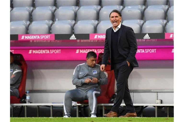 Trainer Bruno Labbadia gibt Anweisungen. Foto: Sven Hoppe/dpa/Archivbild