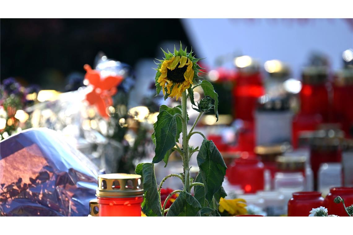 Trauer am Tatort: Ein Meer von Blumen und Kerzen steht in Solingen auf der Straße nach dem Messerangriff beim Stadtfest mit mehreren Toten.