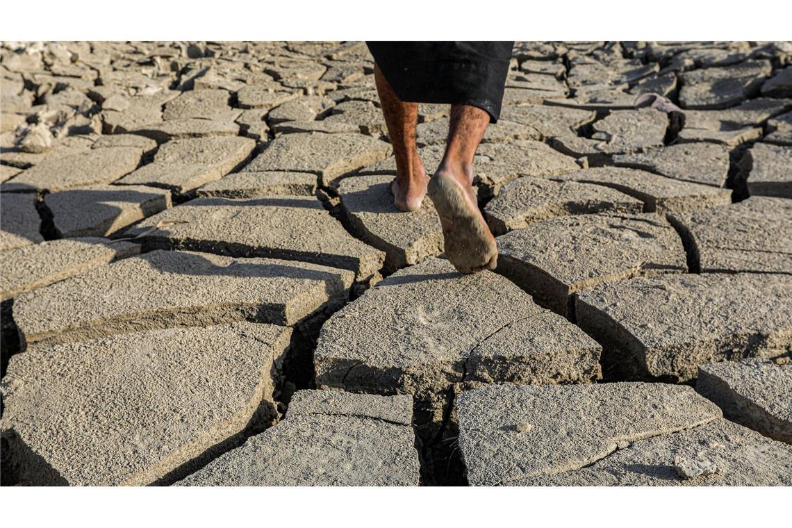 Trockenheit im Irak: Ein Mann geht auf dem ausgetrockneten Boden in den Schibajisch (Chibayish)-Sümpfen.  Das südirakische Sumpfgebiet am Euphrat gehört zum Unesco-Welterbe.