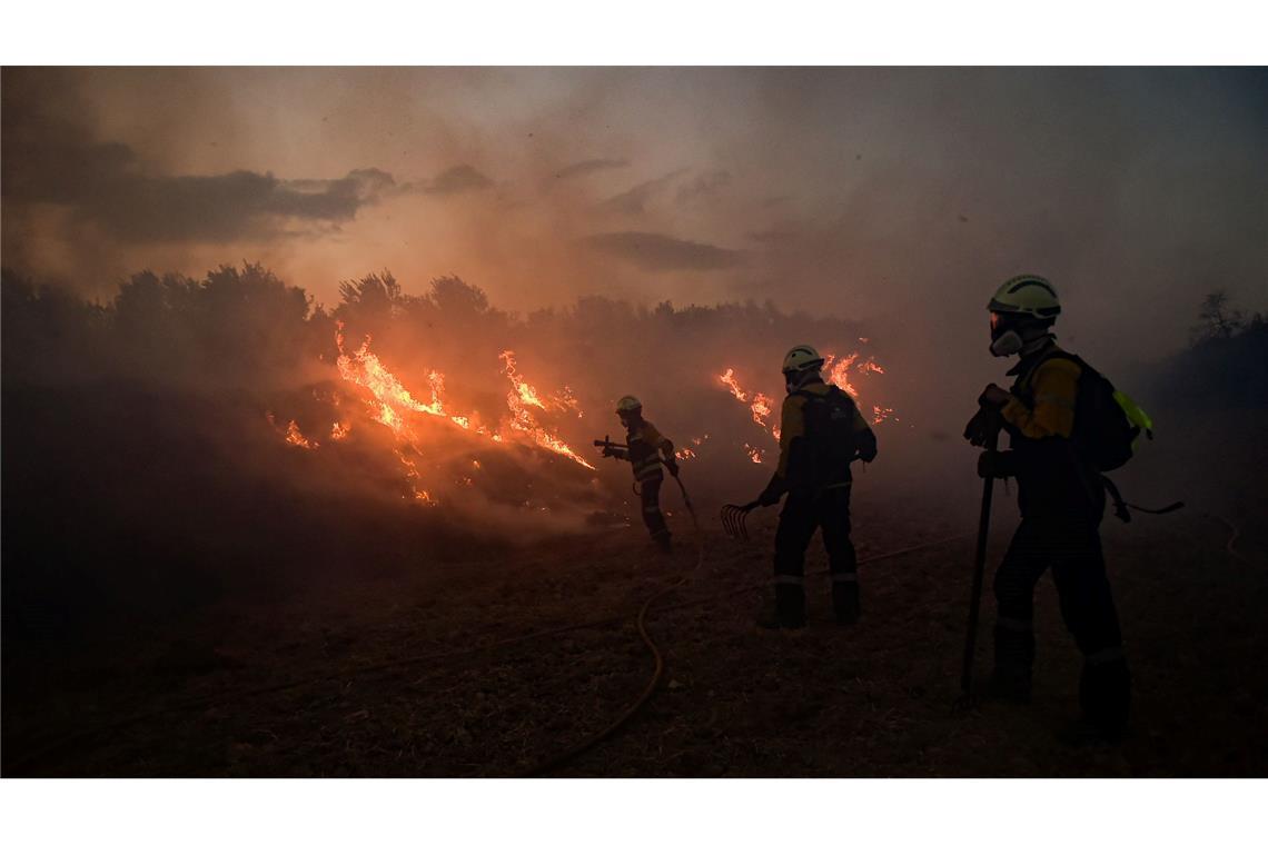 Trotz der Hitze ging die durch Waldbrände zerstörte Fläche in diesem Jahr um 46 Prozent im Vergleich zum Vorjahreszeitraum zurück.