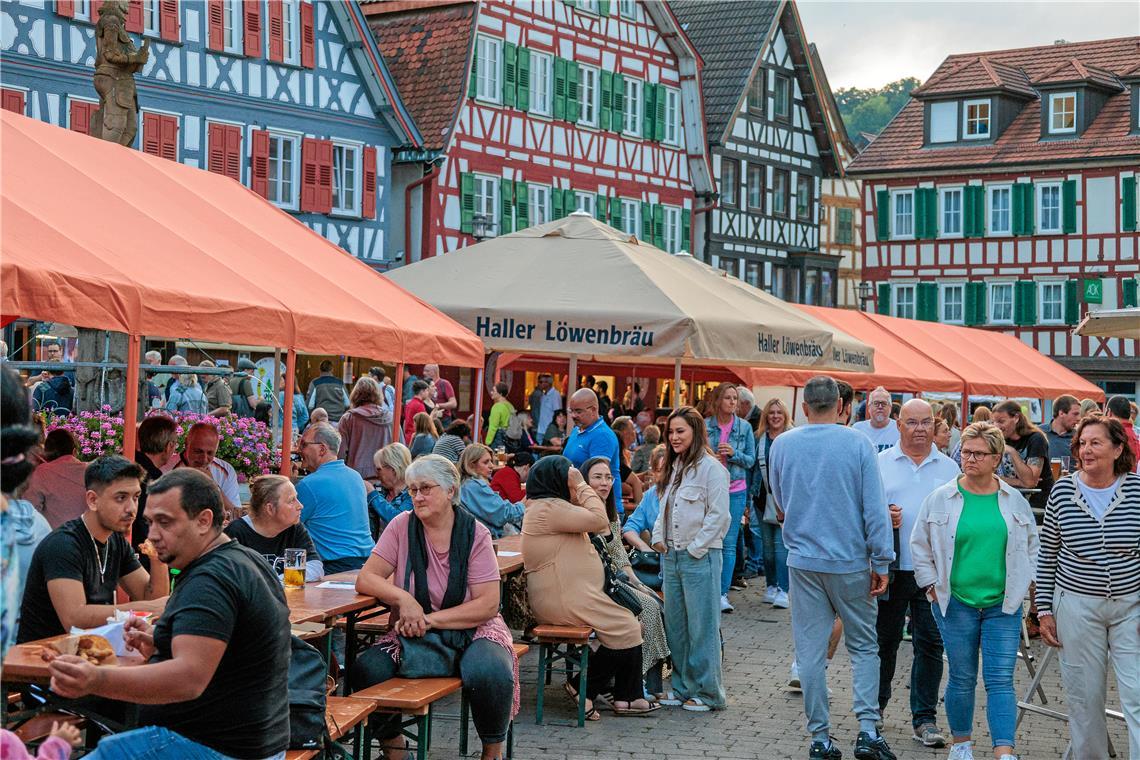 Trotz teils widriger Umstände ist das diesjährige Stadtfest gut besucht. Fotos: Stefan Bossow