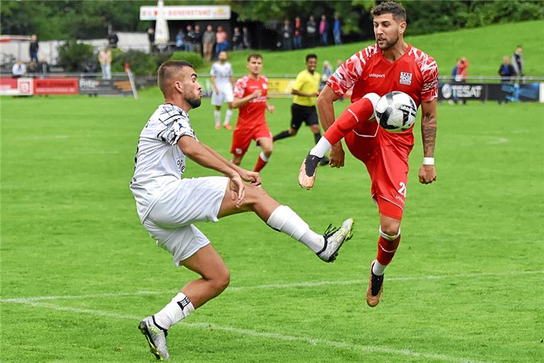 TSG-Innenverteidiger Patrick Tichy (rechts) rückt wieder in die Startelf. Foto: Tobias Sellmaier