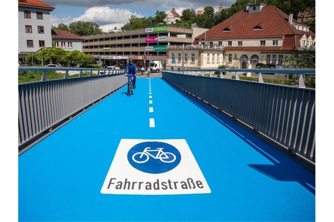 Tübingens Oberbürgermeister Boris Palmer fährt auf einem Radweg. Foto: Christoph Schmidt/dpa/Archivbild