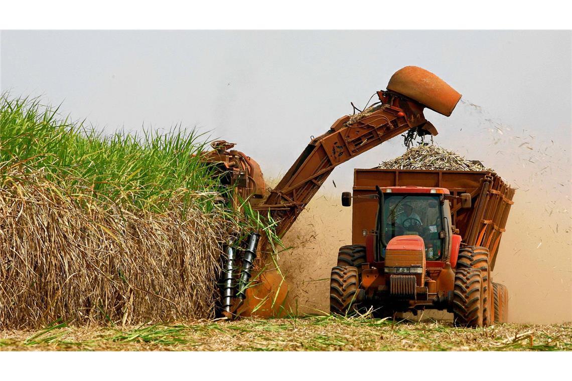 Über 80 Prozent der deutschen Bio-Ethanol-Produktion kommt aus Futtergetreide.