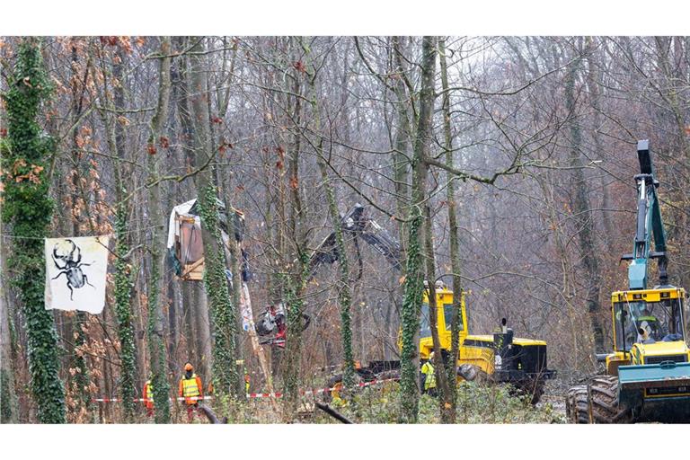 Um die Rodung von Bäumen zu verhindern, hatten Aktivisten den Wald besetzt.