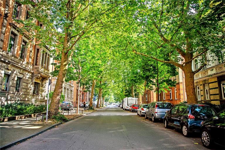 Um eine Stadt trotz Klimaerwärmung erträglich zu halten, helfen Bäume. Doch es gibt noch mehr Ideen.