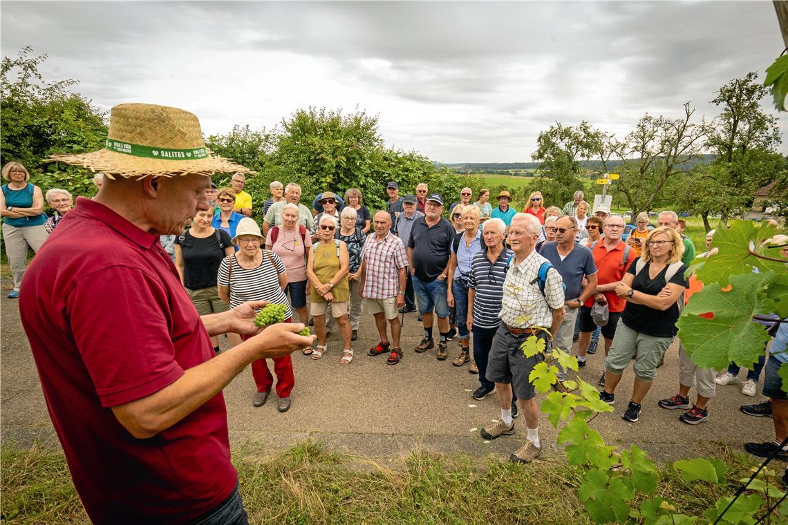 Umfassende Informationen über den Weinbau, die Traubensorten und die Landschaft steuert Günther Ferber aus erster Hand bei. Das Mitglied des Vorstands der WG Aspach beantwortet den Teilnehmern mitten im Rebberg alle Fragen. Foto: Alexander Becher