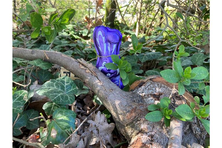 Unauffällig tarnt sich der Osterhase im Unterholz. Foto: K. Fritz