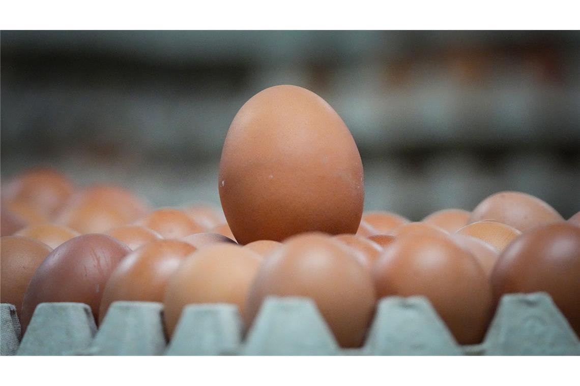 Ungestempelte braune Eier liegen in einer Verpackungshalle. Verbraucher werden in einigen Jahren in Supermärkten voraussichtlich nicht mehr zwischen braunen und weißen Eiern wählen können.