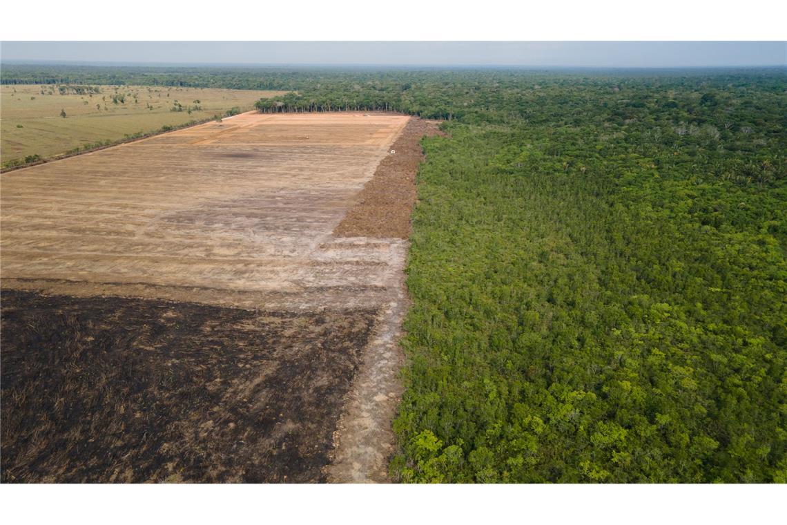 Verbrannte und abgeholzte Flächen wie hier im Amazonas-Gebiet sollen künftig durch das Gesetz verhindert werden. (Archivbild)