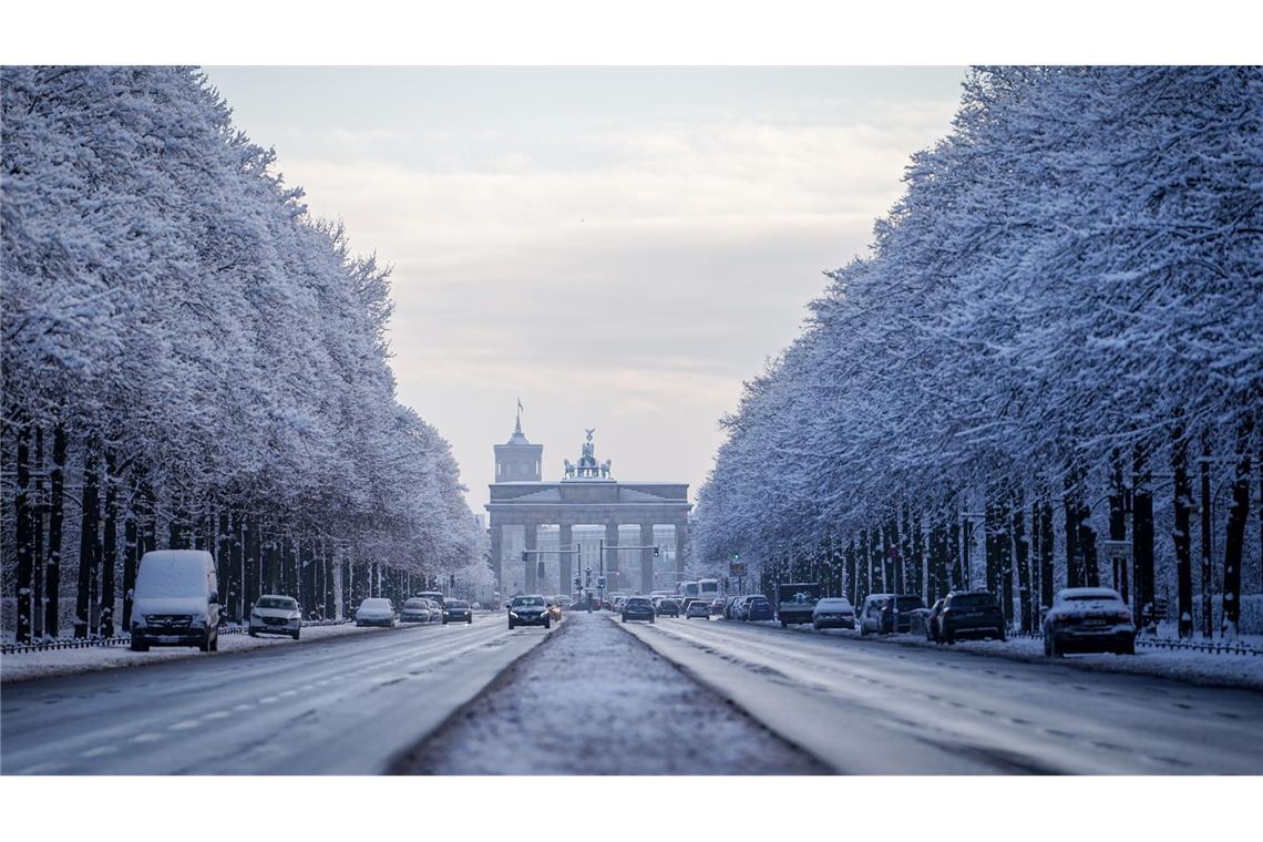 Verschneite Bäume glitzerten im Tiergarten.