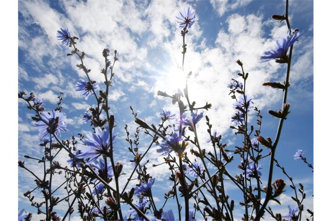 Hoch „Dana“ verringert zumindest zeitweise Unwettergefahren Vor allem in der Südhälfte Deutschlands ist in den kommenden Tagen längerer Sonnenschein möglich. Foto: Angelika Warmuth/dpa