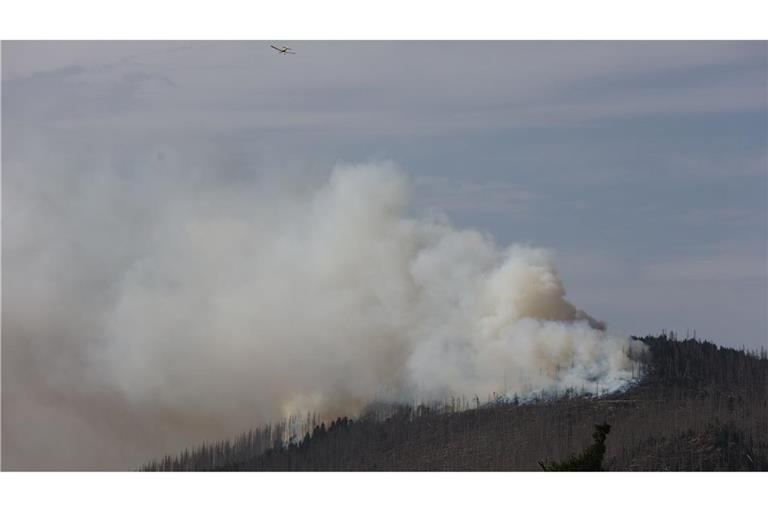 Vor zwei Jahren hatte der Landkreis Harz den Katastrophenfall wegen eines Brandes am Brocken ausgerufen - jetzt ist dort wieder ein Feuer ausgebrochen.