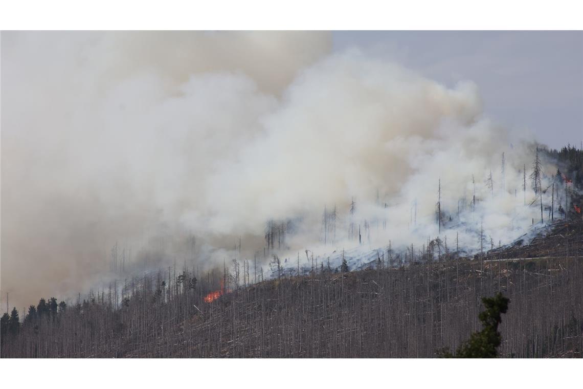 Vor zwei Jahren hatte der Landkreis Harz den Katastrophenfall wegen eines Brandes am Brocken ausgerufen - jetzt ist dort wieder ein Feuer ausgebrochen.