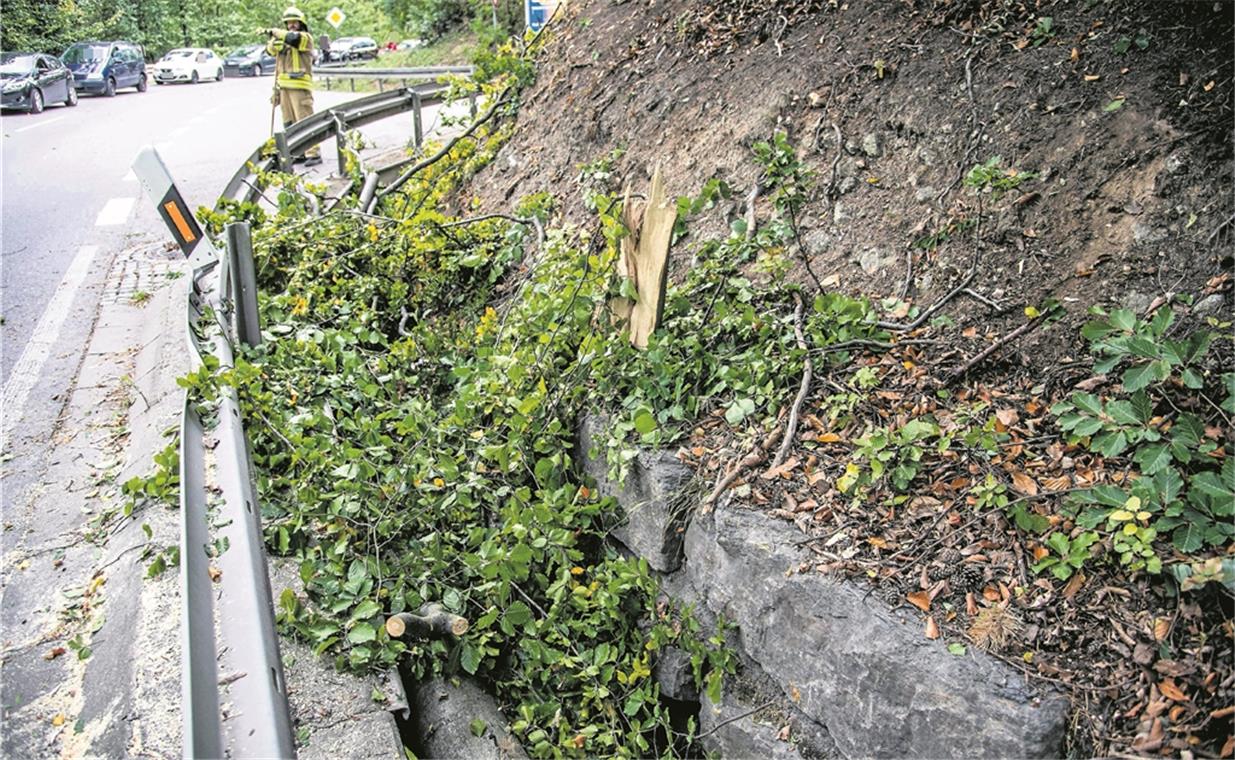 Schwerer Sturm mit Gewittern fegt übers Land WAIBLINGEN (sil). Zuerst kam der Wind, dann starker Regen und am Ende gesellten sich auch noch Blitz und Donner dazu: Nach einem kräftigen Endspurt hat der Sommer dem Herbst das Staffelholz übergeben. Tief Fabienne fegte gestern mit schweren Sturmböen übers Land. Pünktlich zum kalendarischen Anfang zieht also der Herbst mit Macht ein. Bereits am frühen Nachmittag warnte der Deutsche Wetterdienst (DWD) vor Sturmböen, stufte gegen 17 Uhr den Sturm von Stärke zwei sogar auf Stufe drei herauf und warnte vor schweren Gewittern. Auch der Rems-Murr-Kreis wurde vom Unwetter nicht verschont. „Wir sind noch mitten in der Schadensaufnahme und müssen uns selbst noch ein Bild machen“, so ein Sprecher der Polizeidirektion Aalen. Bis Redaktionsschluss waren der Polizei weder verletzte Personen noch schwere Schäden an Gebäuden oder Überschwemmungen bekannt. Allerdings sei es flächendeckend zu Astbrüchen gekommen, da nicht wenige Bäume dem Wetter nicht mehr standhalten konnten. So war etwa auf der Landesstraße 1199 zwischen Kernen und Esslingen ein Baum auf die Straße gestürzt und blockierte die Fahrbahn. Die Straße wurde vorsichtshalber gesperrt, da weitere Bäume drohten, ebenfalls umzufallen. Betroffen waren neben dem Rems-Murr-Kreis auch der Ostalbkreis und der Kreis Schwäbisch Hall. Foto: Süddeutsche Mediengesellschaft