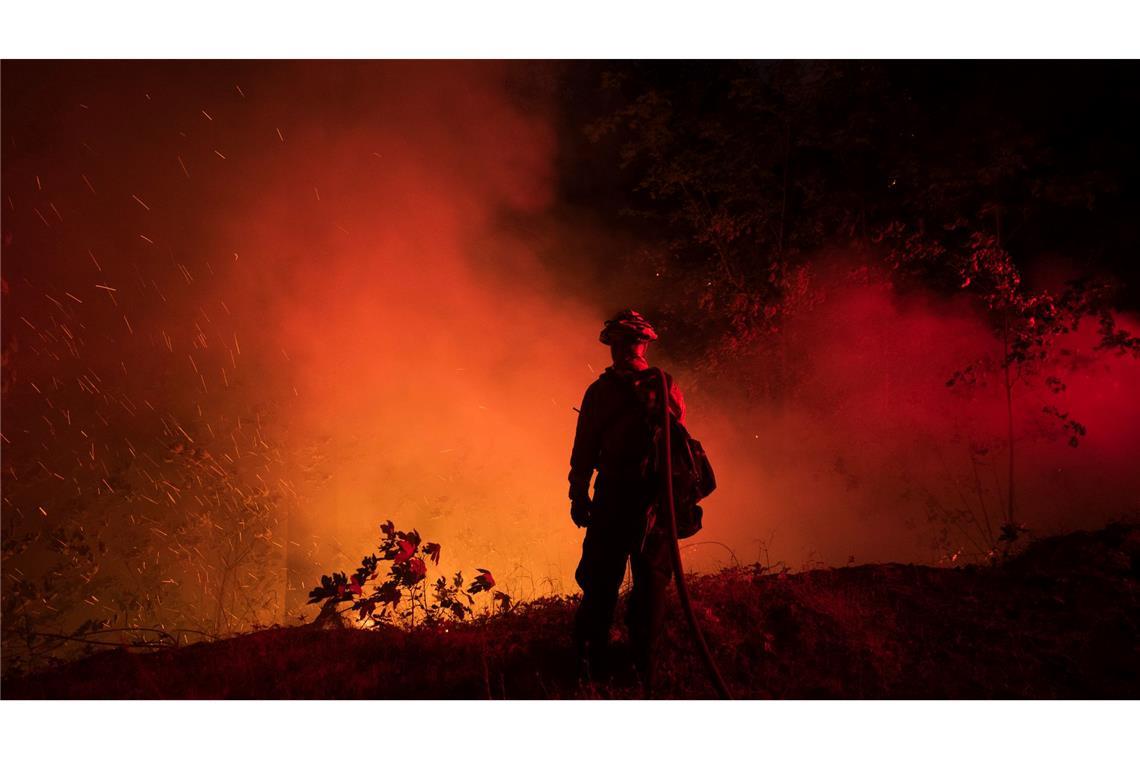 Waldbrände in den USA: Ein Feuerwehrmann steht am Rande eines Waldbrandgebietes in Kalifornien.