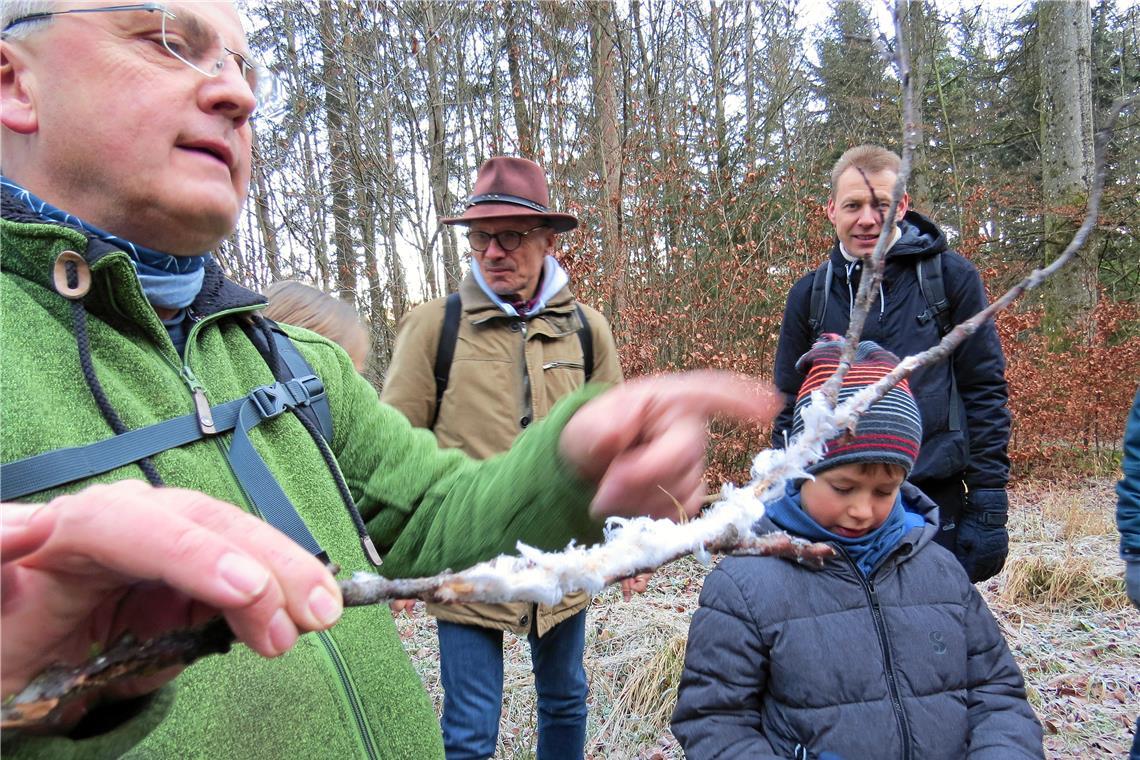 Walter Hieber hat einen Stock mit wunderschönen Eisformationen gefunden. „Feeneis“ entsteht, wenn Pilze auf beziehungsweise im Holz bei tiefen Temperaturen Gase abgeben. Foto: Christine Schick