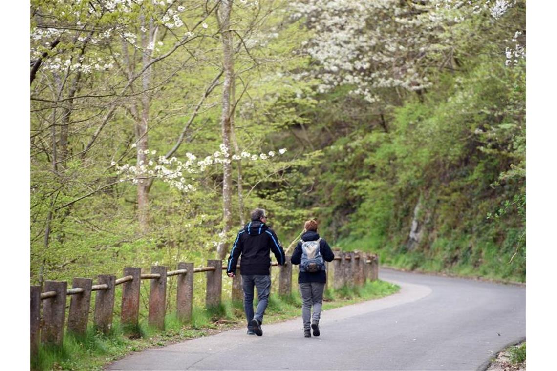 Wanderer sind in der Eifel unterwegs. Foto: Henning Kaiser/picture alliance /dpa/Symbolbild