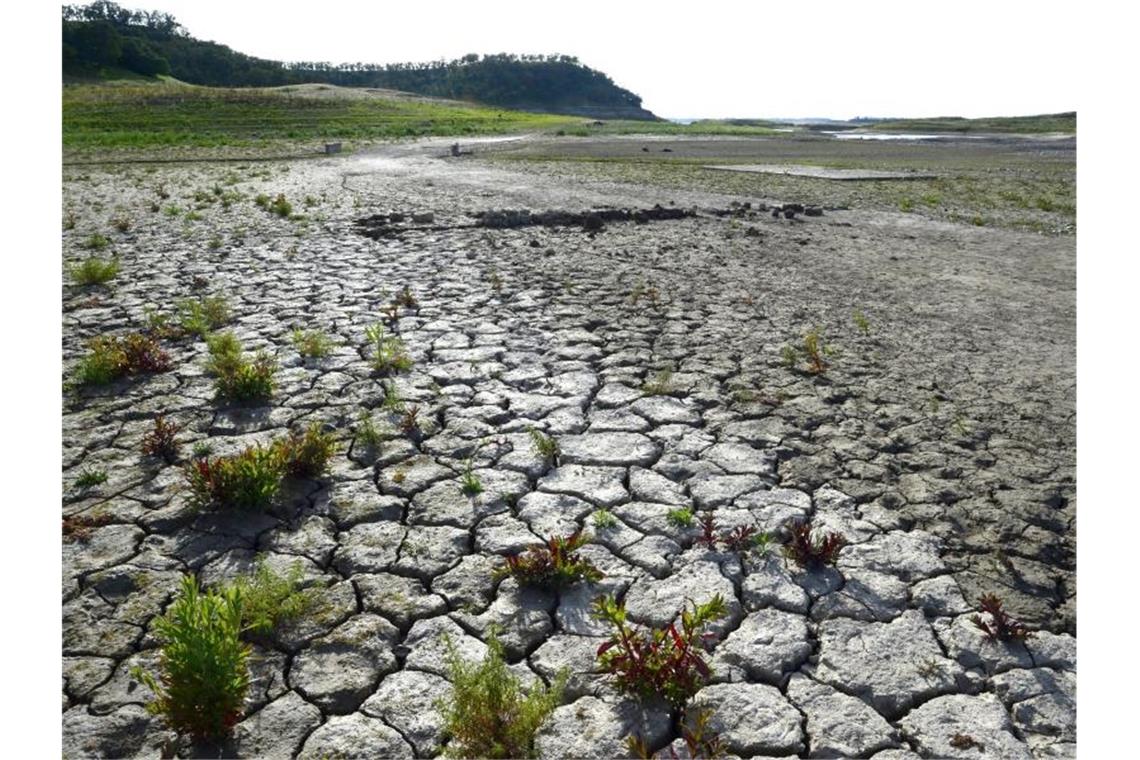 Klimatrend setzt sich fort: 2019 wohl zweitheißestes Jahr Wassermangel in Kalifornien: Der US-Bundesstaat leidet unter den Folgen des Klimawandels. Foto: Michael Nelson/epa/dpa