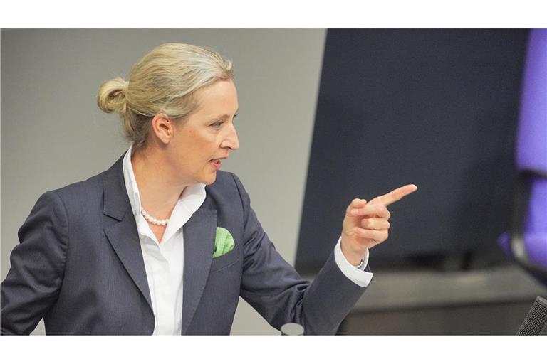 Weidel sieht in Ungarn ein "Bollwerk gegen illegale Migration" (Archivbild).