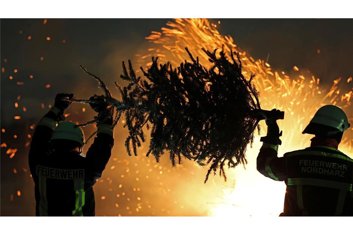 Weihnachtsbäume brennen in einer Feuerschale zum Knutfest in der Gemeinde Stapelburg in Sachsen-Anhalt.