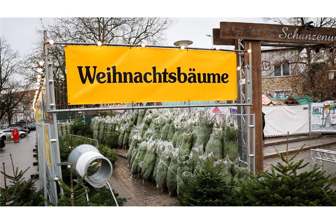 Weihnachtsbäume haben in Deutschland eigentlich immer Nadeln. (Archivbild)