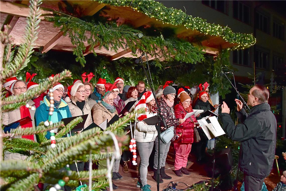 Weihnachtslieder auf der Waldbühne, vorgetragen von der Liedertafel Backnang.