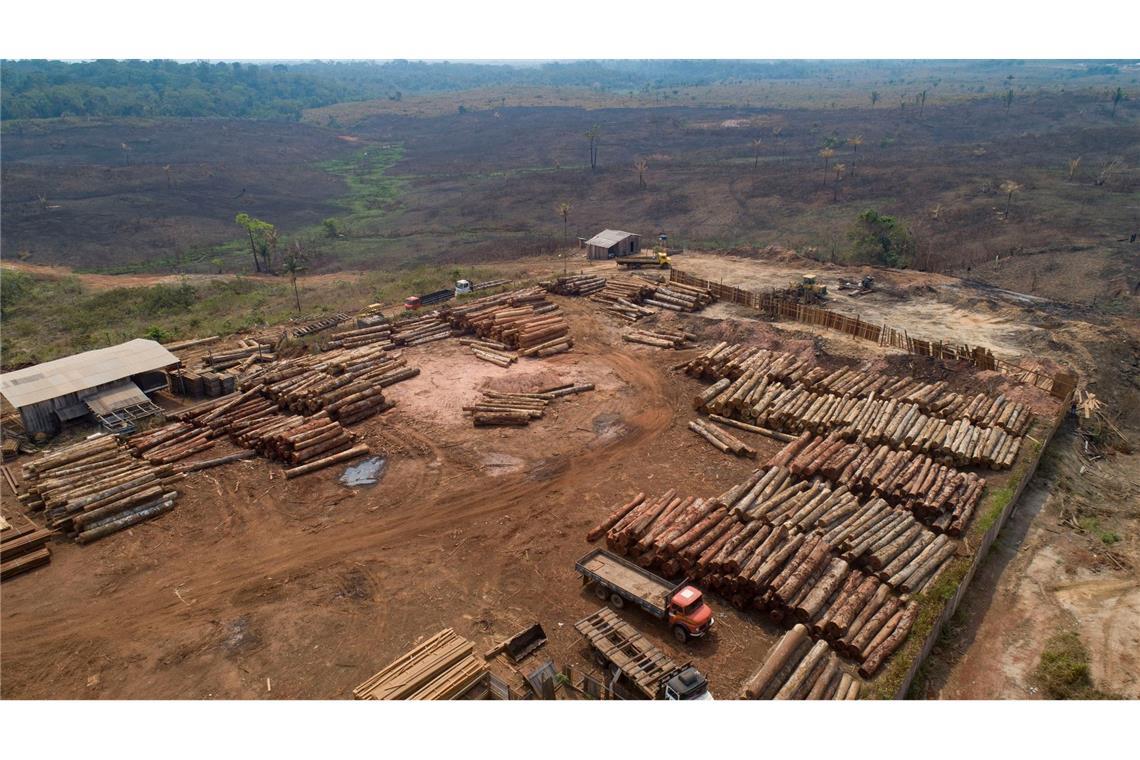 Weltweit sind im vergangenen Jahr einem Bericht zufolge rund 3,7 Millionen Hektar tropischer Urwald zerstört worden (Archivbild).