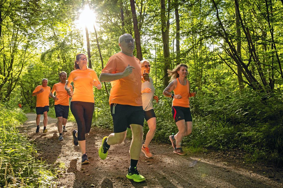 Wenn die Sonne scheint und die Vögel zwitschern, macht eine Runde im Plattenwald besonders viel Spaß. Foto: Alexander Becher