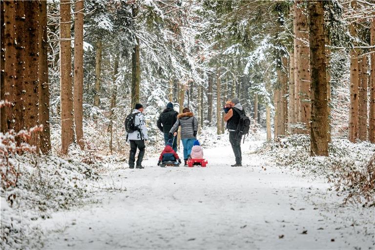 Wie hier auf dem Riesberg nutzten viele Familien den Schneefall und damit die seltene Gunst der Stunde, um ihre Bobs und Schlitten aus dem Keller zu holen. Foto: Stefan Bossow