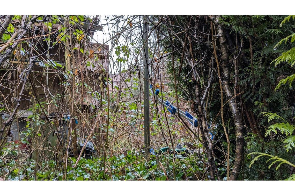 Wie im Dornröschengarten: In der verwilderten Hütte links wurde das Opfer nachts gefesselt festgehalten.