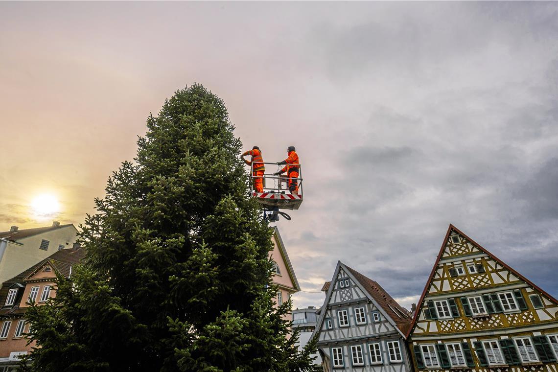 Wiktor Tyszkiewicz und Rolf Hammer verbringen beruflich mehrere Wochen im Jahr mit Vorbereitungen für die Weihnachtszeit. Foto: Alexander Becher