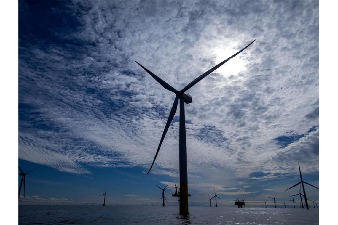 Windräder des Offshore-Windparks „Baltic 2“ sind in der Ostsee vor der Insel Rügen zu sehen. Foto: Jens Büttner/dpa-Zentralbild/dpa/Archivbild