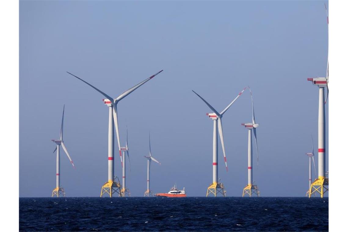 Windräder des Windparks „Wikinger“ in der Ostsee vor Rügen. Foto: Bernd Wüstneck/ZB/dpa