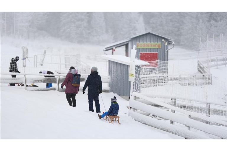 Wintersport im Harz: Noch einmal Schlitten fahren, bevor es wieder milder wird.