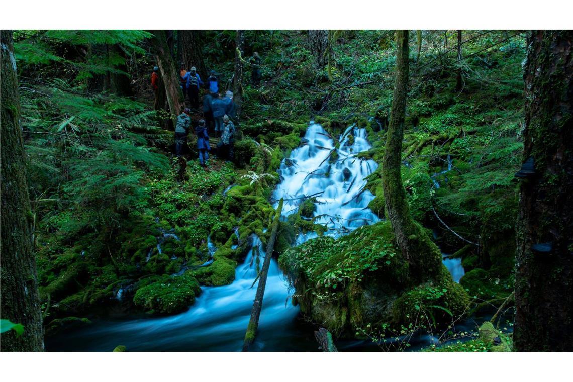 Wissenschaftler untersuchen eine großvolumige Quelle in jungem Vulkangestein der Wasserscheide des Mckenzie River auf der Westseite des topografischen Kamms von Cascade, die im Rahmen dieser Studie überwacht wurde.