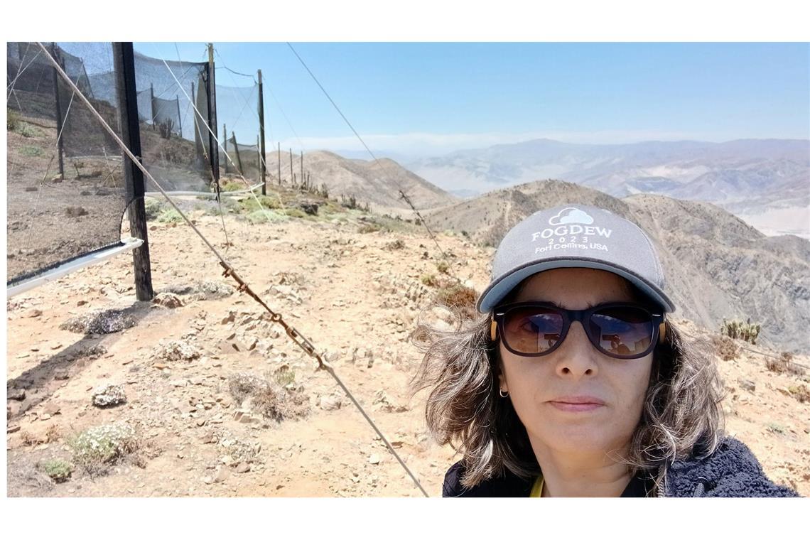 Wissenschaftlerin Virginia Carter Gamberini steht vor Nebelkollektoren, mit denen in der trockenen Atacama-Wüste in Chile Wasser gewonnen werden kann.