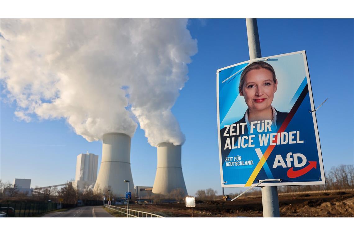 Woher stammt die Spende von 2,35 Millionen Euro für Wahlplakate der AfD? (Symbolbild)