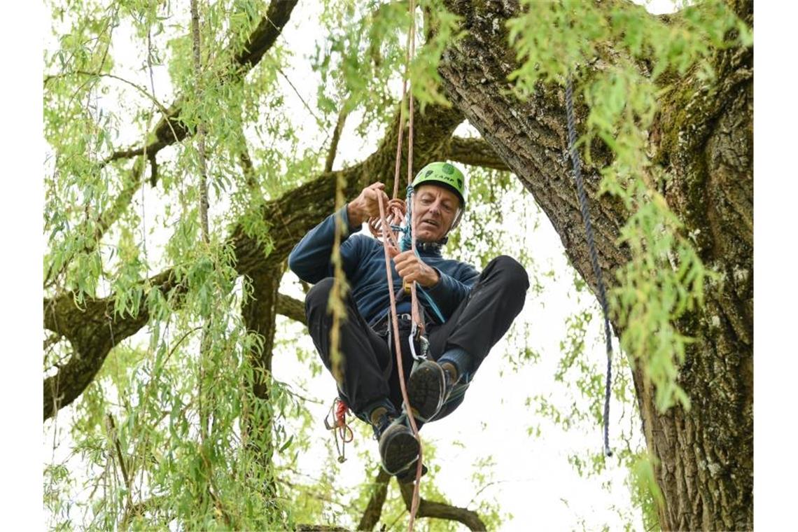 Wolfgang Ertel klettert auf einen Baum, um Klimaaktivisten zu unterstützen. Foto: Felix Kästle/dpa/Archivbild