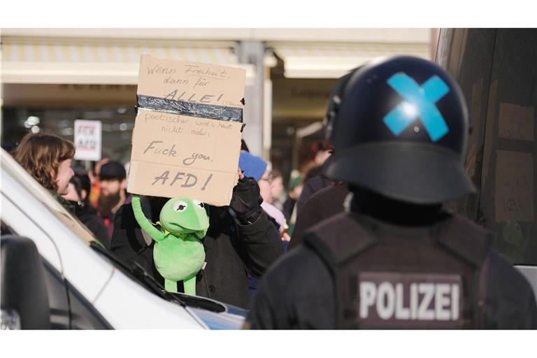 Zahlreiche Menschen demonstrieren gegen die AfD. (Symbolbild)