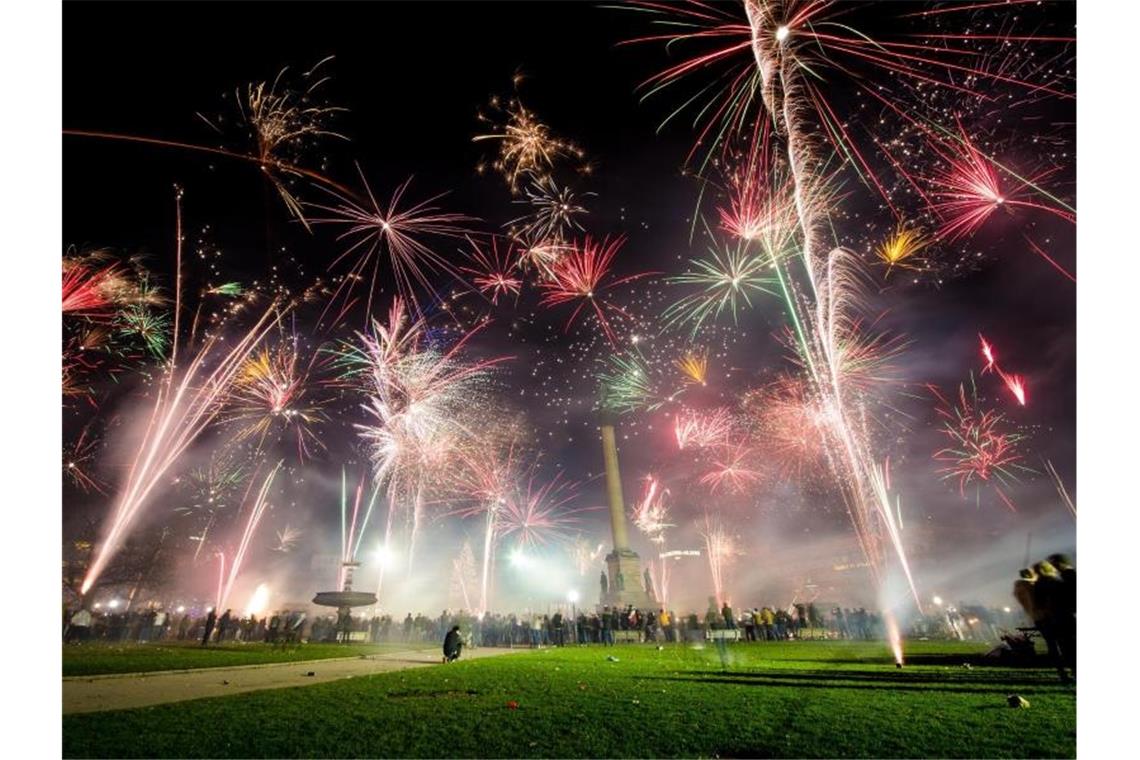 Tierschützer warnen vor Silvesterknallerei Zahlreiche Menschen feiern auf dem Schlossplatz mit reichlich Feuerwerk in das neue Jahr. Foto: Christoph Schmidt/dpa
