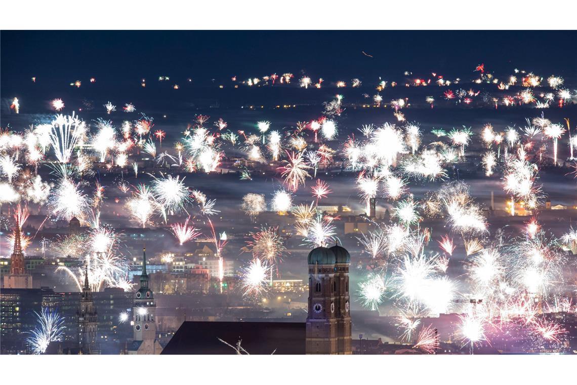 Zahlreiche Wildtiere werden aufgeschreckt, wenn das Feuerwerk startet. (Archivbild)